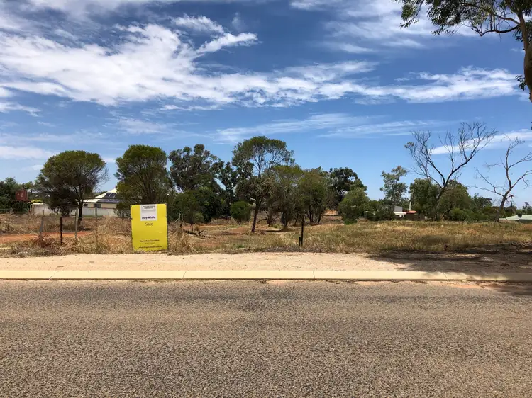 Main view of Homely land listing, 54 Essex Street, Northampton WA 6535