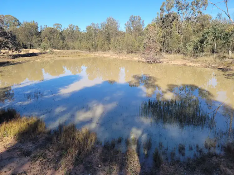 Fourth view of Homely rural property listing, 0 Toowoomba-Karara Road, Leyburn QLD 4365