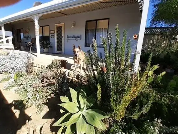 Main view of Homely house listing, 26 Ocean View Drive, Green Head WA 6514