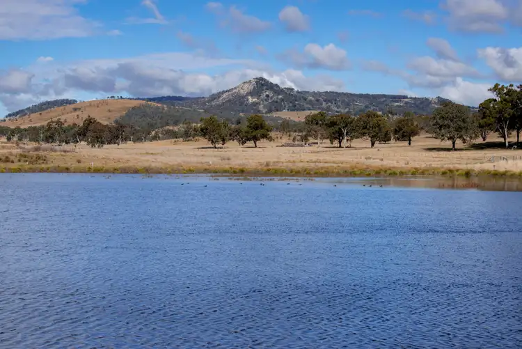 Third view of Homely rural property listing, 1035 Bruxner Way, Tenterfield NSW 2372