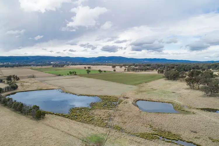 Sixth view of Homely rural property listing, 1035 Bruxner Way, Tenterfield NSW 2372