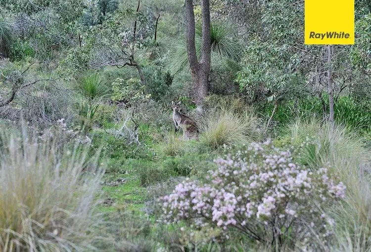 Third view of Homely land listing, 50 Rocky Place, Swan View WA 6056