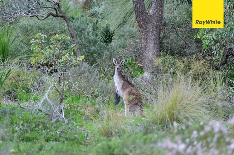 Seventh view of Homely land listing, 50 Rocky Place, Swan View WA 6056