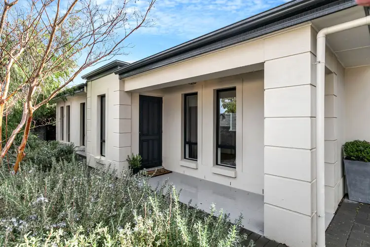 2 Don Avenue, Seacliff Park SA 5049