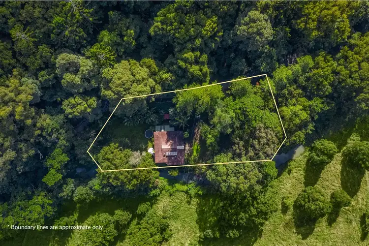 Second view of Homely house listing, 599 Left Bank Road, Mullumbimby Creek NSW 2482