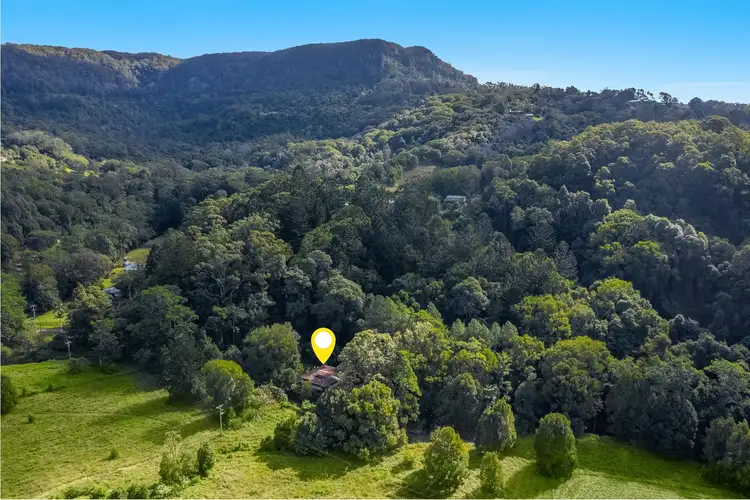 Third view of Homely house listing, 599 Left Bank Road, Mullumbimby Creek NSW 2482