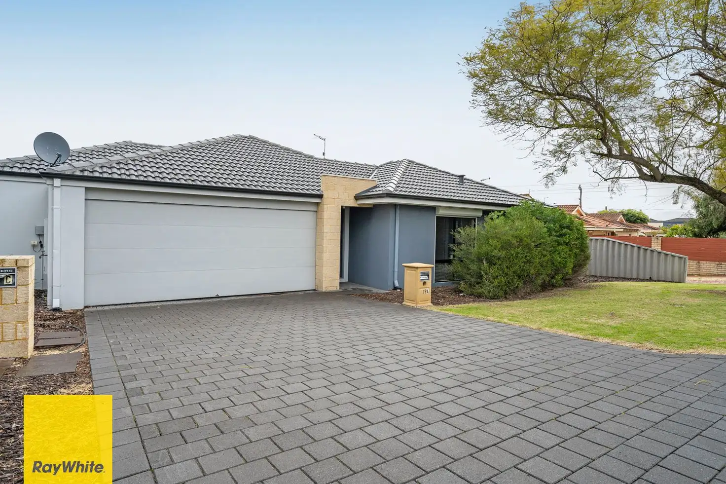 Main view of Homely house listing, 19a Quondong Street, Nollamara WA 6061