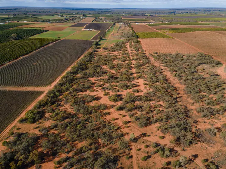 Second view of Homely rural property listing, 410 Sculthorpe Road, Nangiloc VIC 3494