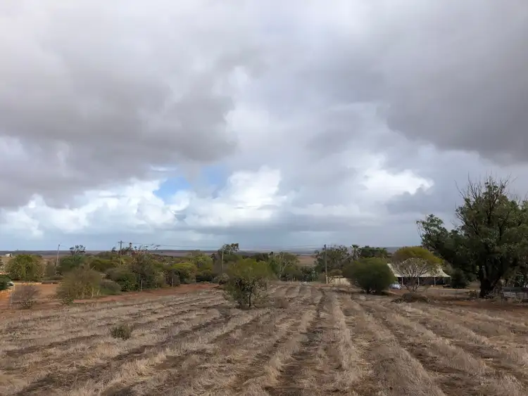 Fourth view of Homely land listing, 43 Fifth Avenue, Northampton WA 6535