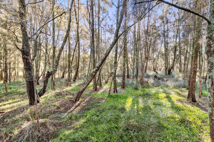 Main view of Homely land listing, 37-39 Connells Close, Mossy Point NSW 2537