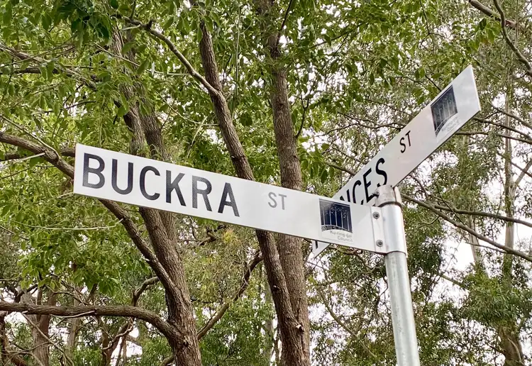Main view of Homely house listing, 23 Buckra Street, Turramurra NSW 2074