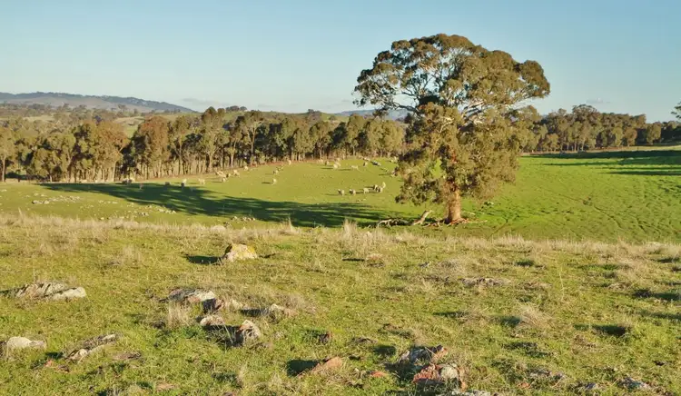 Third view of Homely land listing, 355 Branding Yard Lane, Heathcote VIC 3523