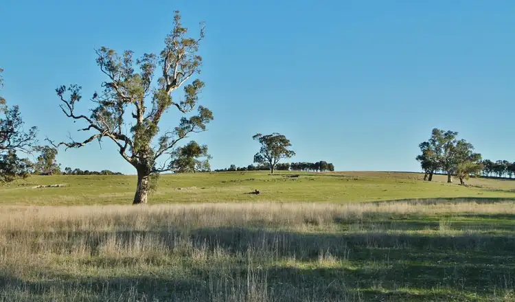 Fifth view of Homely land listing, 355 Branding Yard Lane, Heathcote VIC 3523