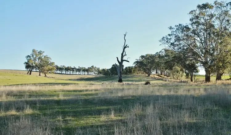 Sixth view of Homely land listing, 355 Branding Yard Lane, Heathcote VIC 3523
