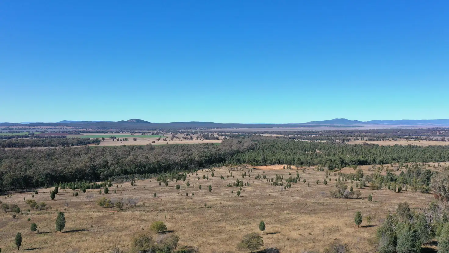 Main view of Homely rural property listing, Lot 80 8432 Black Stump Way, Tambar Springs NSW 2381