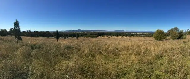 Second view of Homely rural property listing, Lot 80 8432 Black Stump Way, Tambar Springs NSW 2381