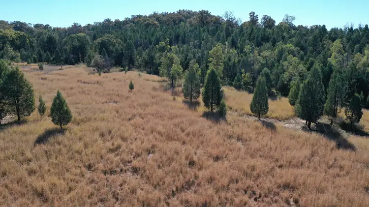 Fifth view of Homely rural property listing, Lot 80 8432 Black Stump Way, Tambar Springs NSW 2381