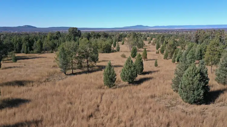 Sixth view of Homely rural property listing, Lot 80 8432 Black Stump Way, Tambar Springs NSW 2381