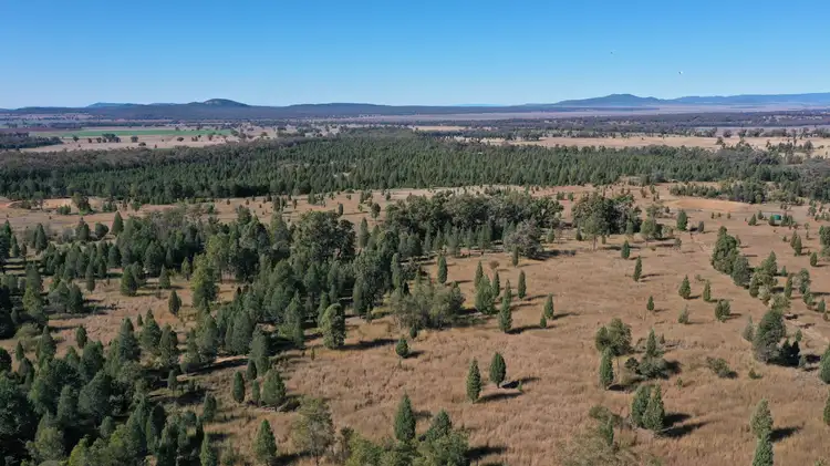 Seventh view of Homely rural property listing, Lot 80 8432 Black Stump Way, Tambar Springs NSW 2381