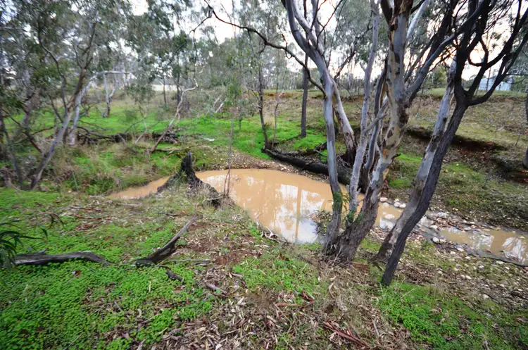 Seventh view of Homely rural property listing, 1228 Redbank - Barkly Road, Barkly VIC 3384