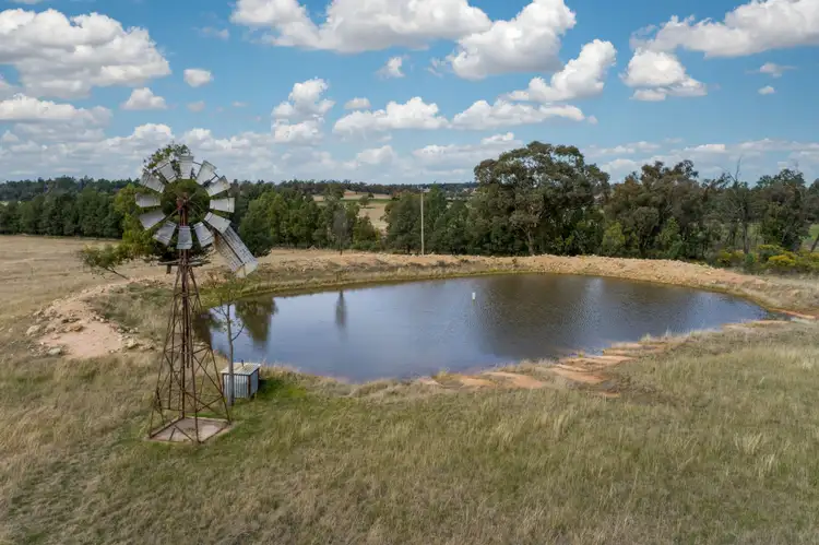 Second view of Homely rural property listing, 1386 Mackeys Creek Road, Eugowra NSW 2806