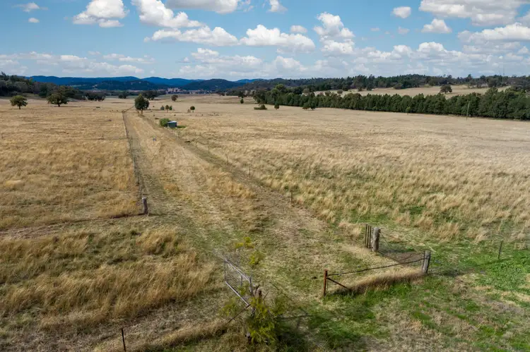 Third view of Homely rural property listing, 1386 Mackeys Creek Road, Eugowra NSW 2806
