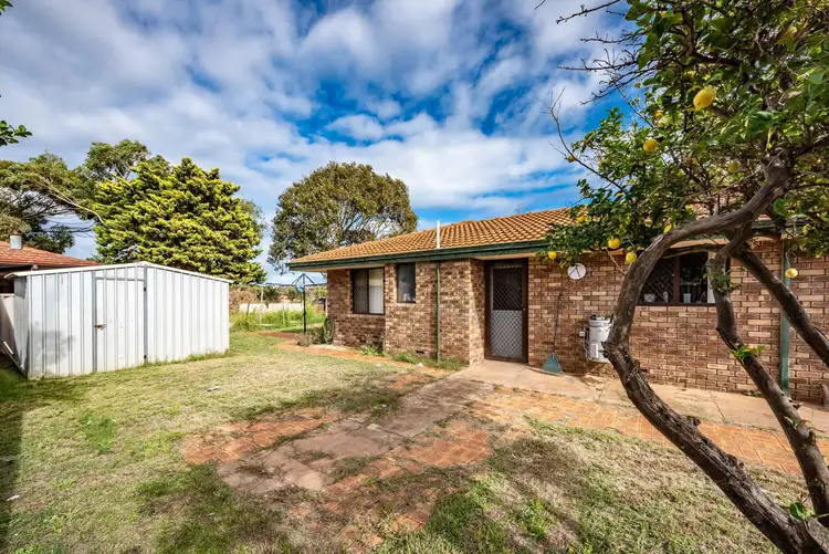 Third view of Homely semi-detached listing, 1B Jacob Place, Karloo WA 6530