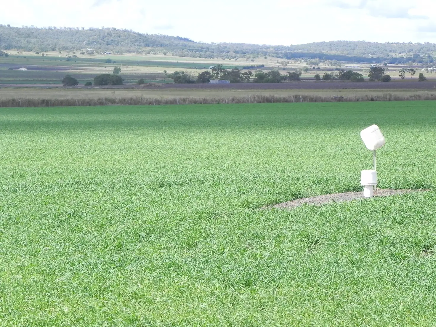 Main view of Homely rural property listing, 0 Cnr Stoneleigh & Cronin, Linthorpe QLD 4356