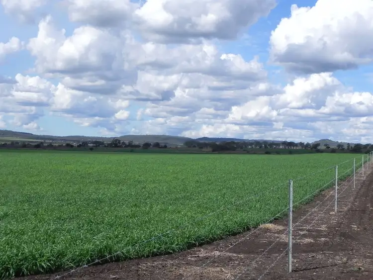 Fourth view of Homely rural property listing, 0 Cnr Stoneleigh & Cronin, Linthorpe QLD 4356