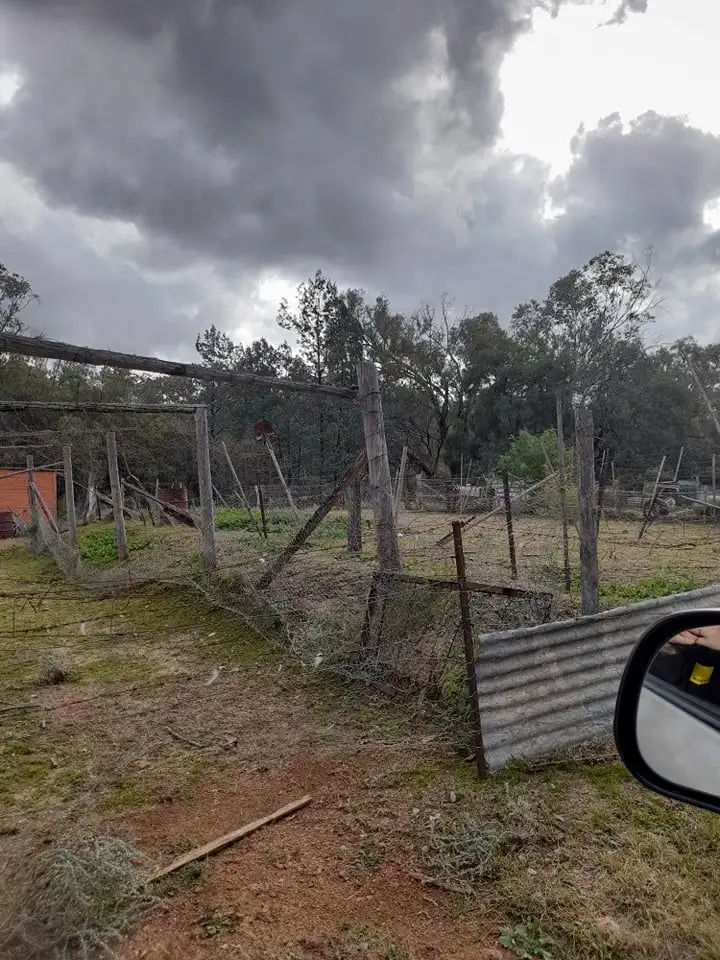 Sixth view of Homely other listing, 3 Bligh Street, Bingara NSW 2404