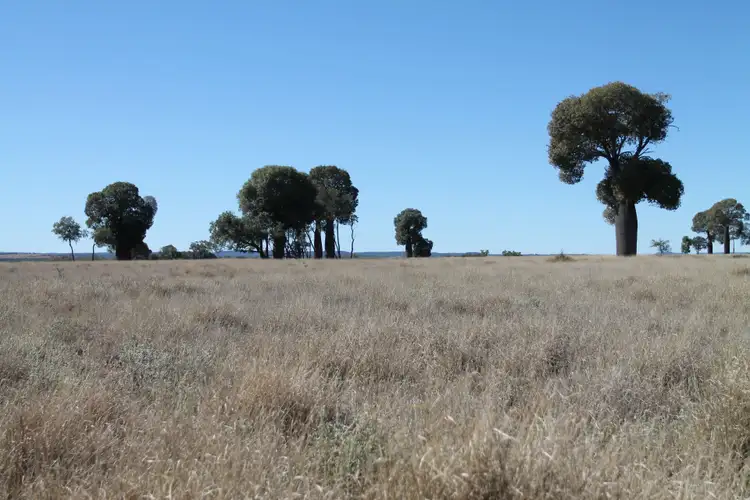 Second view of Homely rural property listing, 0 Mount Tabor Road, Augathella QLD 4477