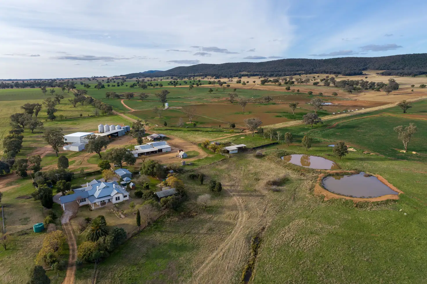 Main view of Homely rural property listing, 401 Catombal Road, Cumnock NSW 2867
