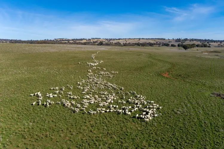 Second view of Homely rural property listing, 401 Catombal Road, Cumnock NSW 2867