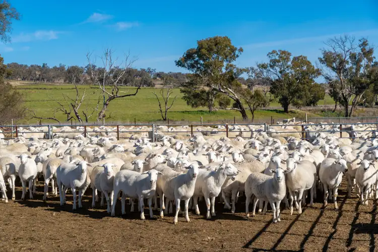 Third view of Homely rural property listing, 401 Catombal Road, Cumnock NSW 2867