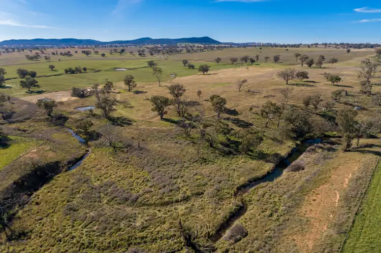 Sixth view of Homely rural property listing, 401 Catombal Road, Cumnock NSW 2867