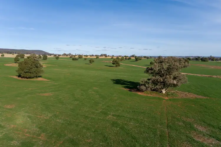 Seventh view of Homely rural property listing, 401 Catombal Road, Cumnock NSW 2867