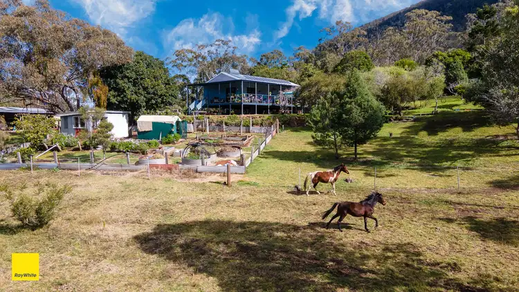 Third view of Homely rural property listing, 800 Emu Creek Road, Emu Vale QLD 4371