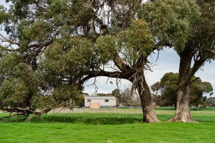 Sixth view of Homely rural property listing, 3148 Lot 6 - Olympic Highway, Culcairn NSW 2660