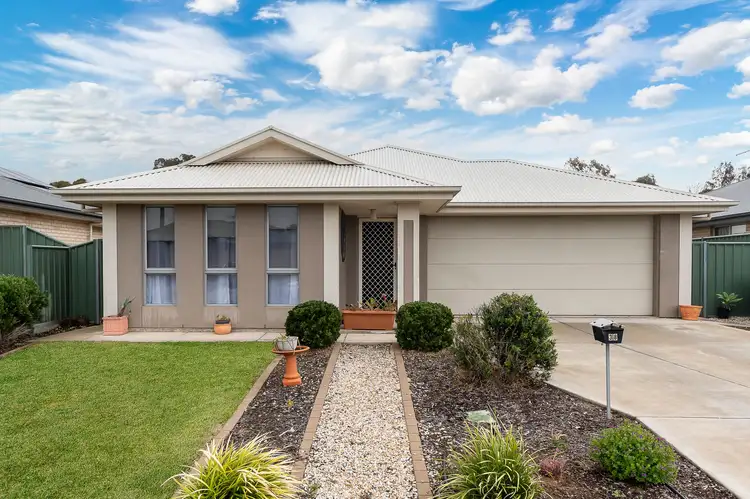 Main view of Homely house listing, 38 Pfitzner Close, Murray Bridge SA 5253