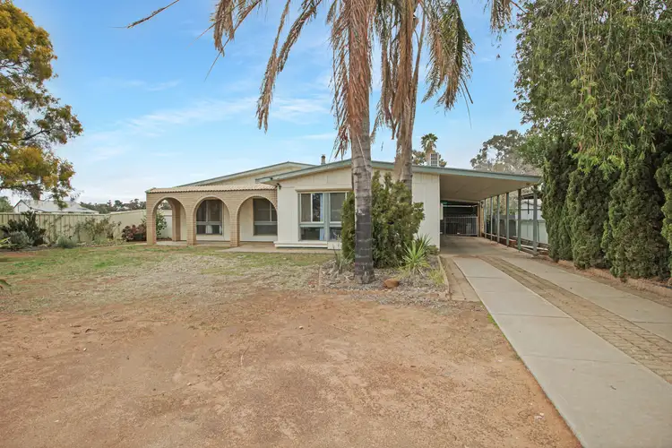 Main view of Homely house listing, 221 Twentyfirst Street, Renmark SA 5341
