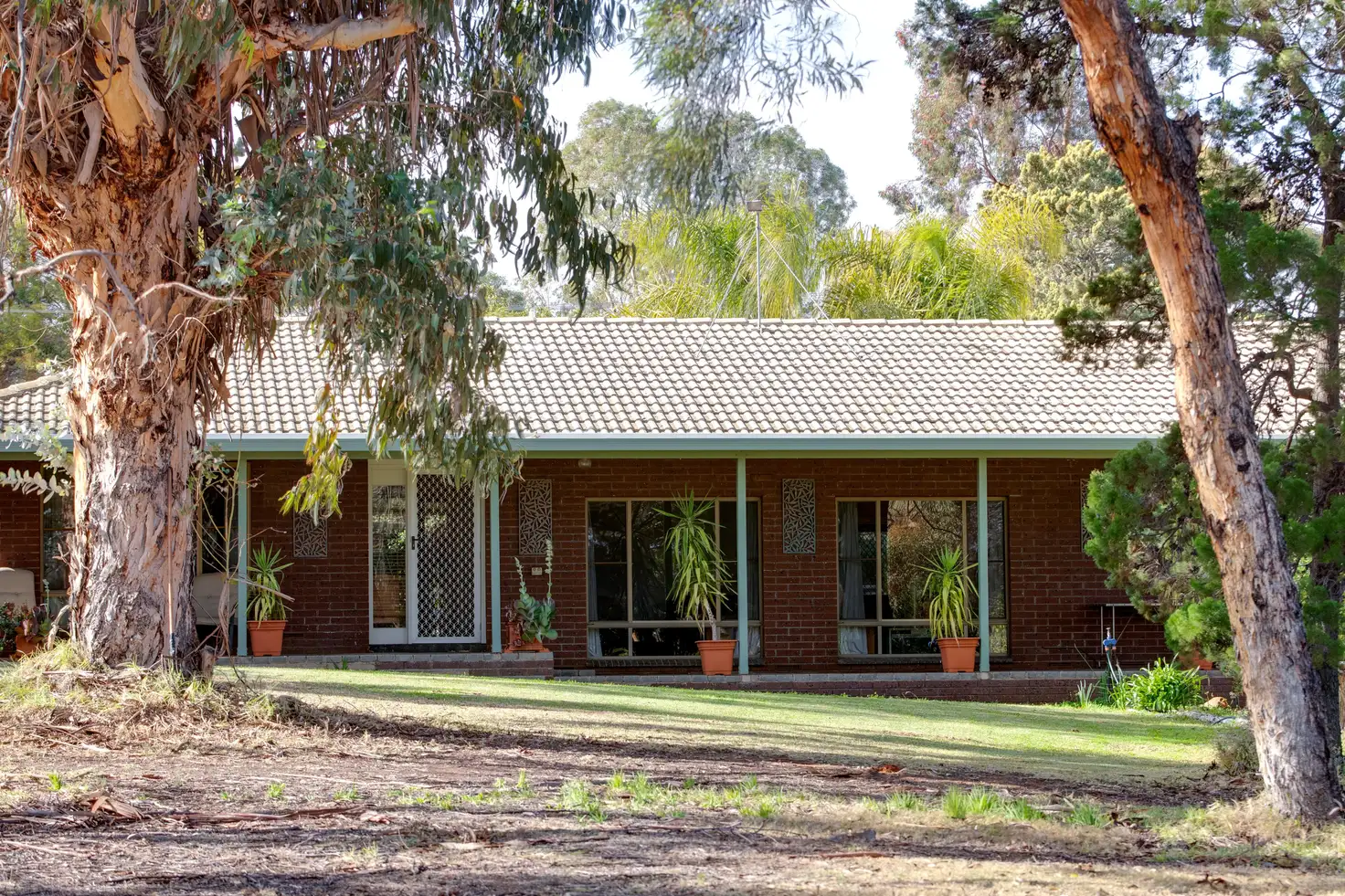 Main view of Homely house listing, 23 Fairway Avenue, Barmera SA 5345