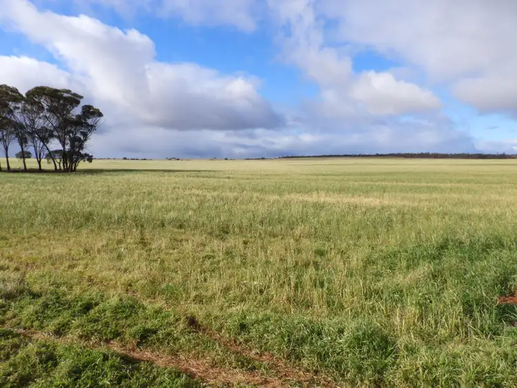 Third view of Homely rural property listing, Trevino 1 Panizza Road, Off Southern Cross-Marvel Loch Road, Marvel Loch WA 6426