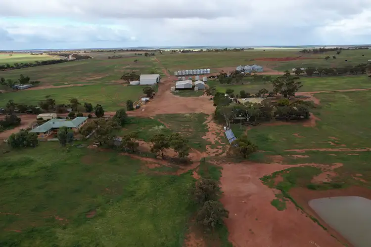 Fifth view of Homely rural property listing, Trevino 1 Panizza Road, Off Southern Cross-Marvel Loch Road, Marvel Loch WA 6426