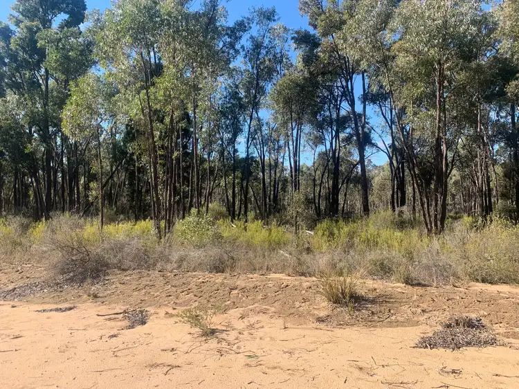 1110 MANCERS Lane, Binnaway NSW 2395