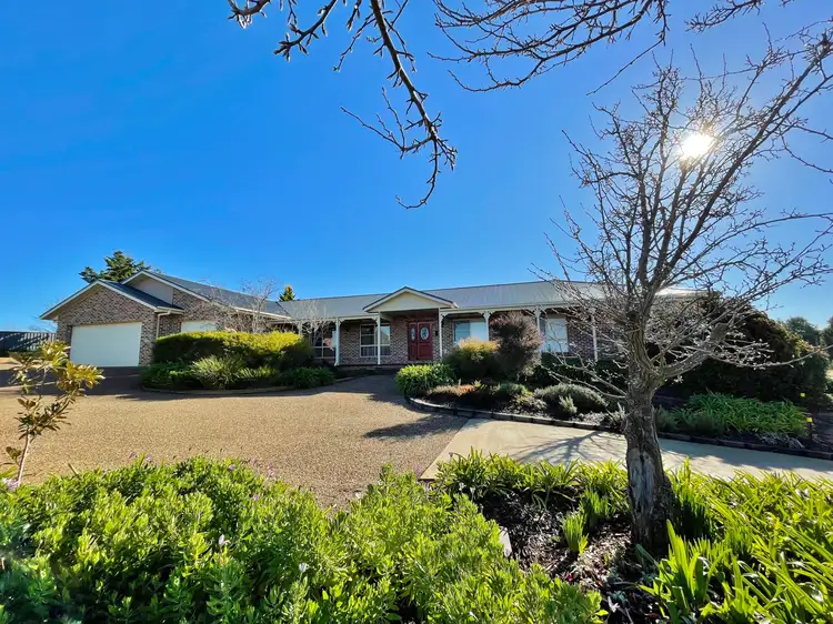 Main view of Homely house listing, 13 Nellee Place, Young NSW 2594