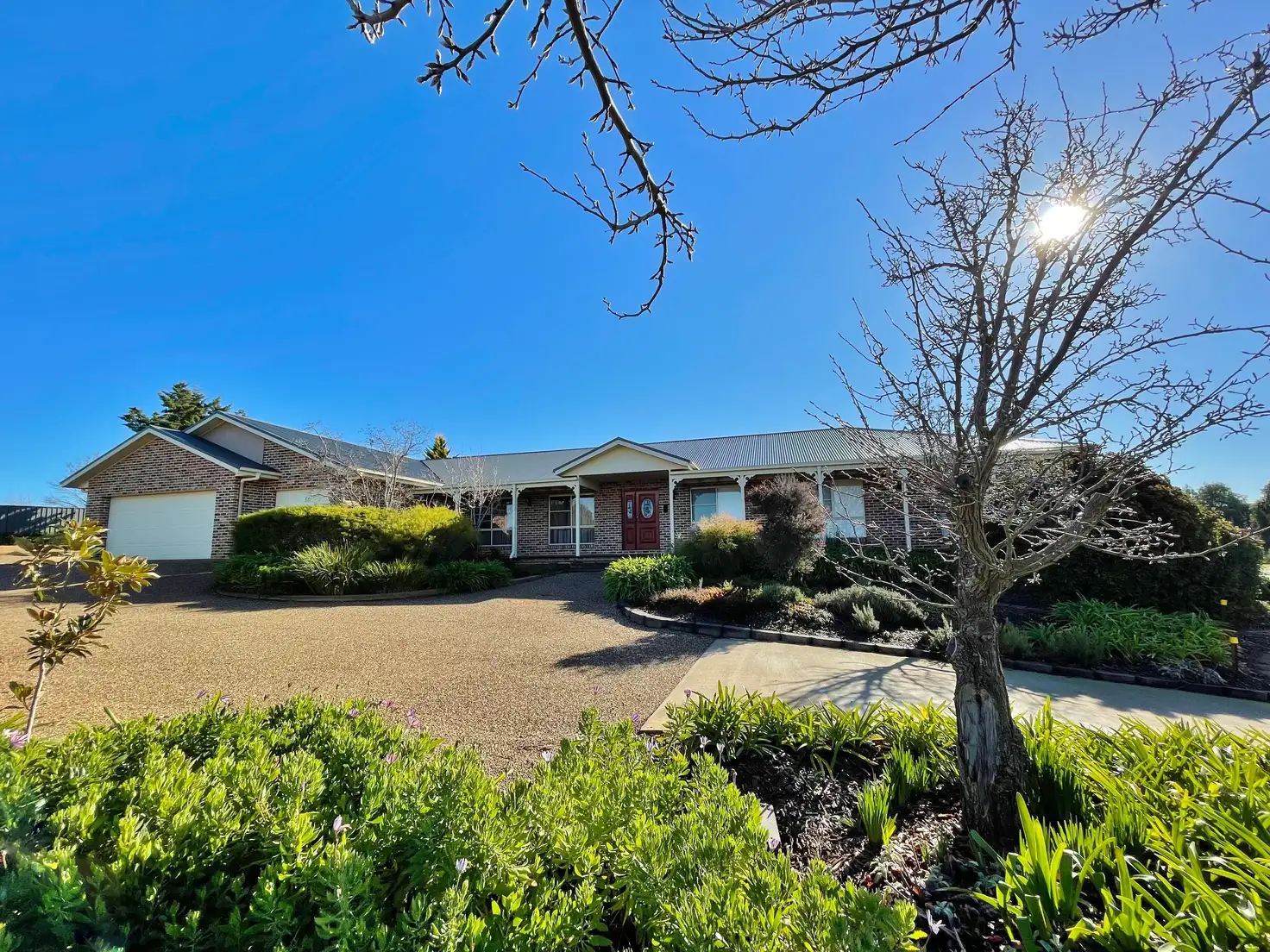 Main view of Homely house listing, 13 Nellee Place, Young NSW 2594