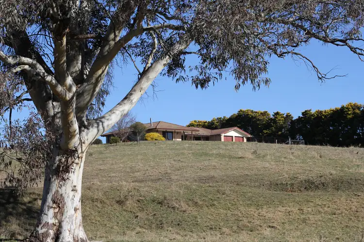 Main view of Homely rural property listing, 141 McManus Road, Portland NSW 2847