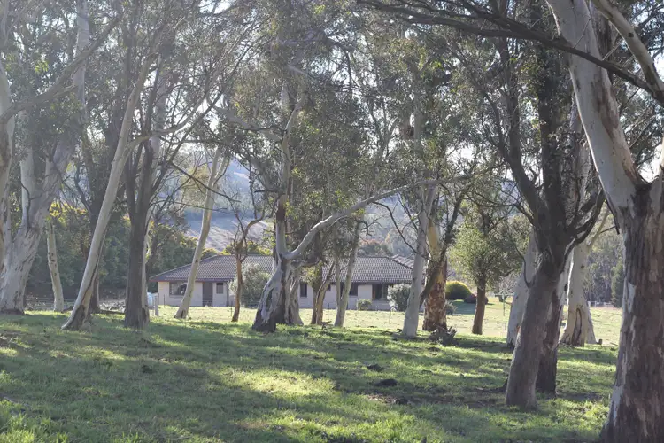 Second view of Homely rural property listing, 141 McManus Road, Portland NSW 2847