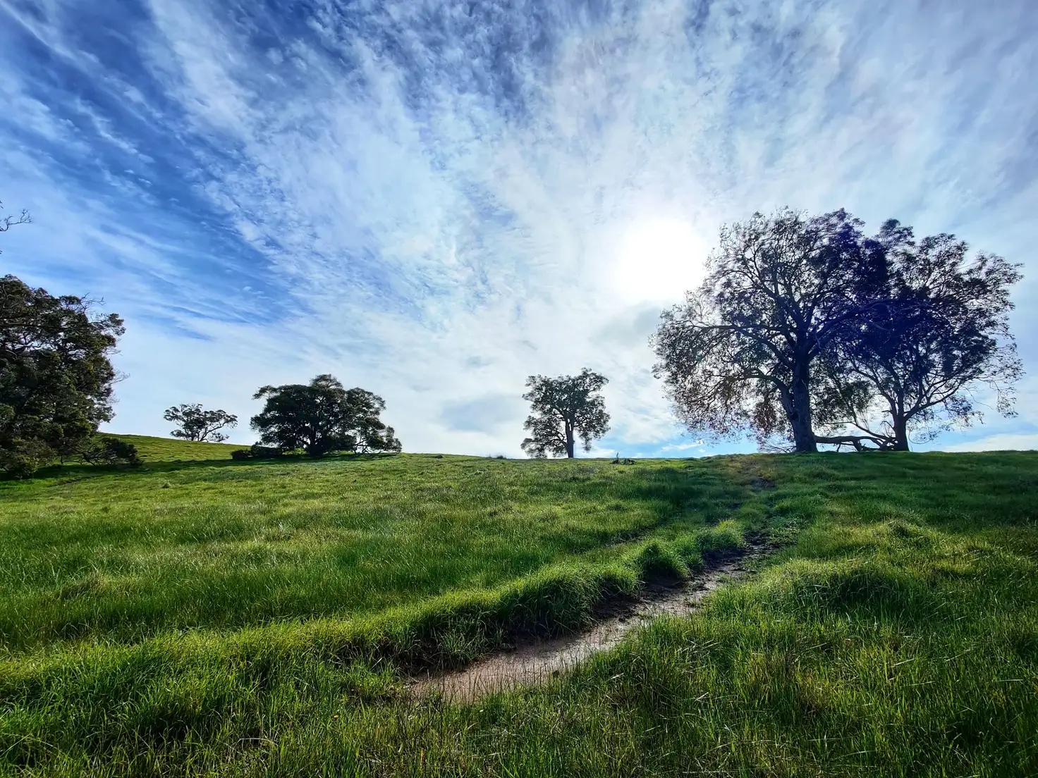 Main view of Homely rural property listing, 816 Mindijup Road, Napier WA 6330