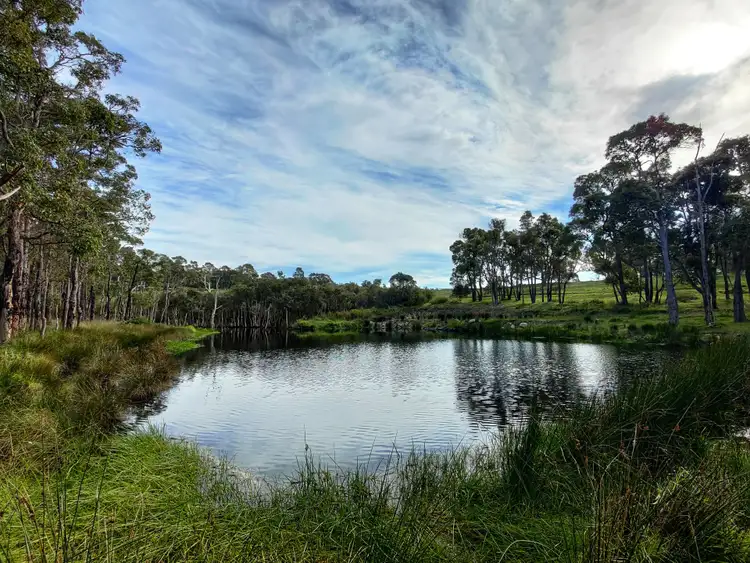Third view of Homely rural property listing, 816 Mindijup Road, Napier WA 6330